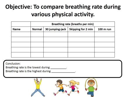 template breathing rate acitivity